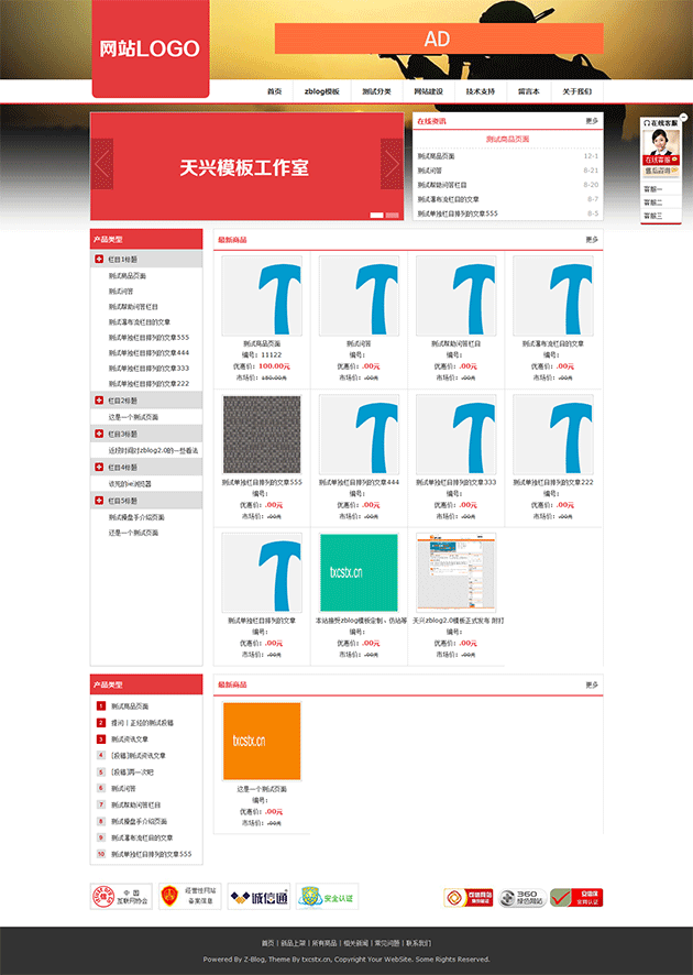 天兴模板工作室案例之小型商城网站