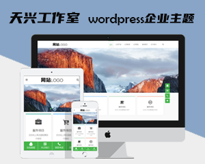 天兴工作室wordpress企业主题第一款 大气wordpress企业主题