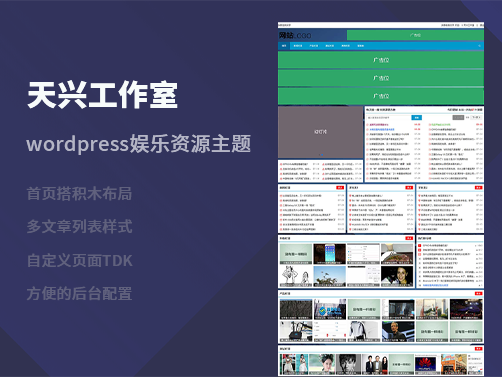 天兴工作室wordpress娱乐资源主题 搭积木首页+多种列表样式